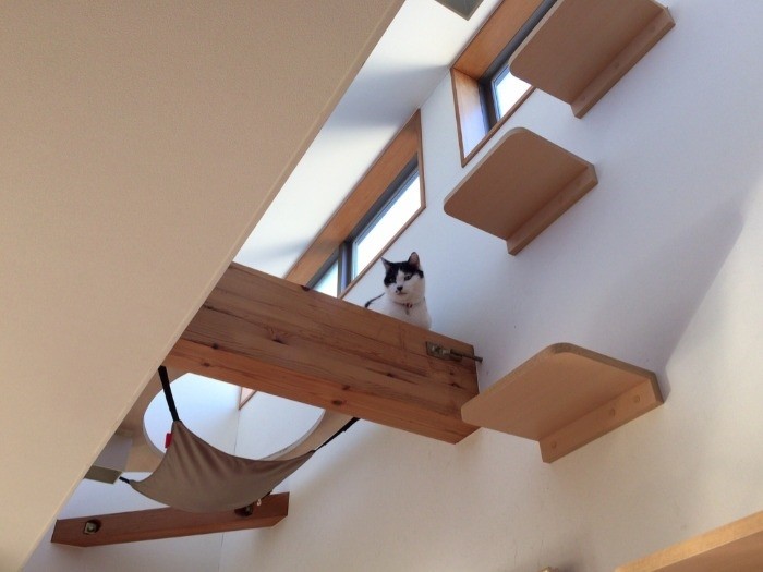 吹き抜けと梁を利用した猫ステップとにゃんモック