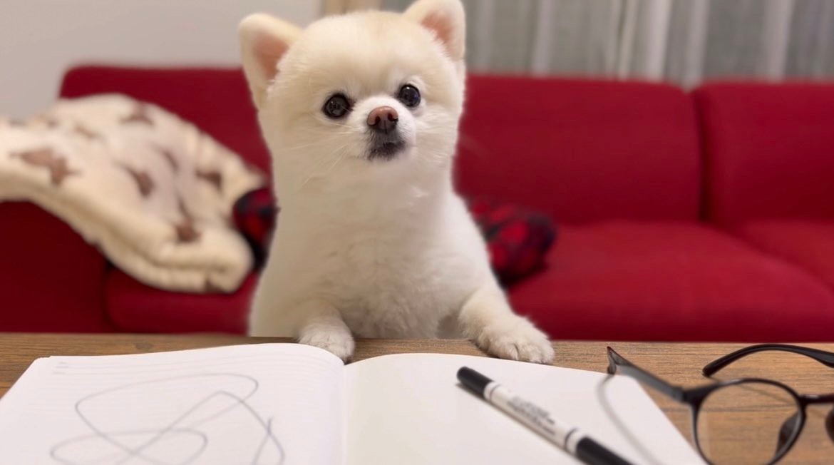 遊んでよぉ〜」ワンちゃんが宿題のプリントをビシバシたたいて猛