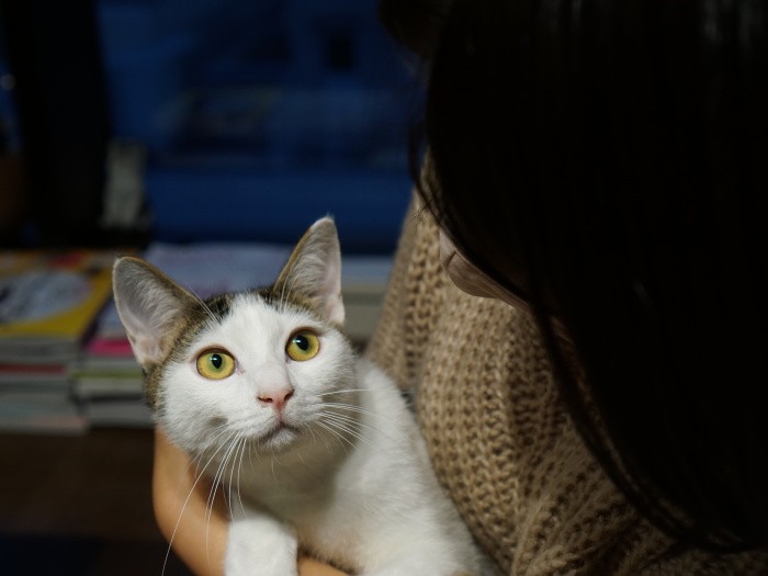 「え、僕ってトーマスと同じ犬だっけ？」