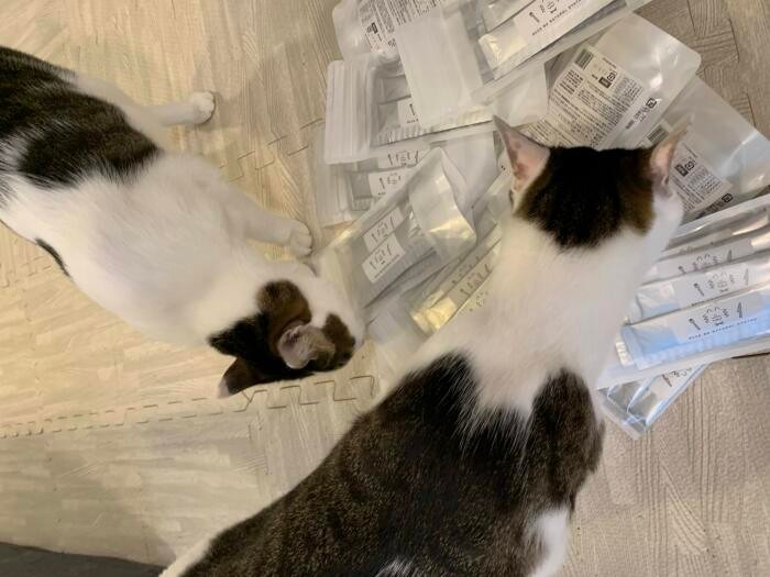 お気に入りのラシャトンの鶏ペースト。オーガニックで毛並みもよくなるので、日本から大量に持ってきた（晴美さんの提供）