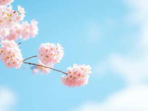 初任給の通帳の数字は、これまでの道のりが報われたという努力の証