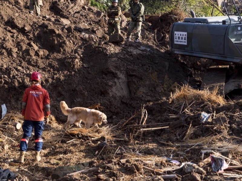 大分県中津市耶馬渓町の災害現場で。