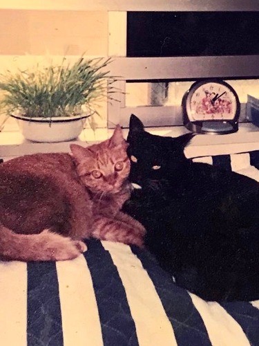 いつも顔をくっ付けていた梅ちゃんと竹ちゃん