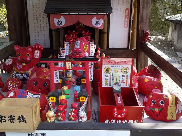 真っ赤な招き猫たちが、ずらっとお出迎え！ 大分の福良天満宮に行って