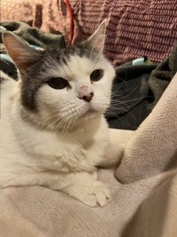 16歳で虹の橋へ