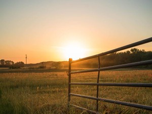仕事が続かない私に、祖父がくれた魔法の言葉。「そんな完璧な人間にはなれない」と思っていたけど