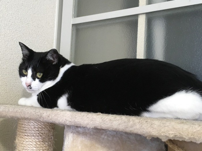 マイペースなひばりちゃん