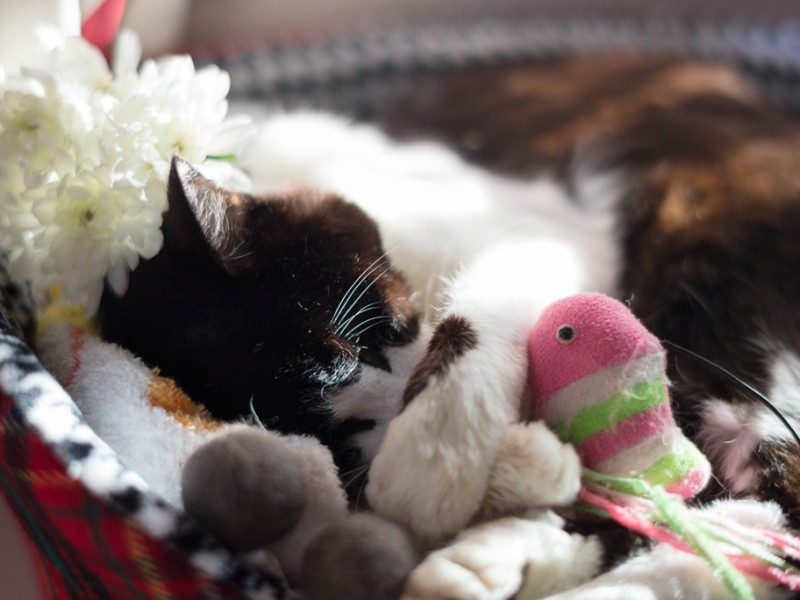 「さかなちゃん、また遊ぼうね」(小林写函撮影)