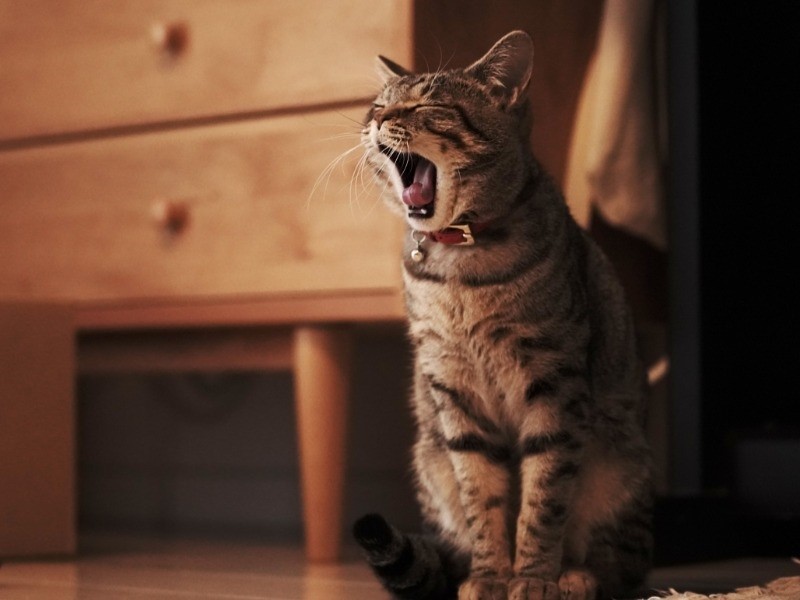 これからず～っと一緒だもん