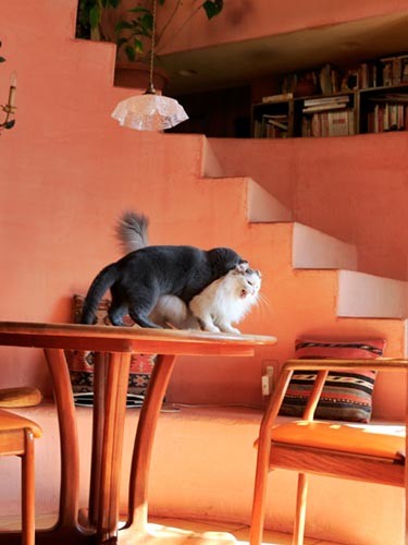 とても平和な梶浦家でありました（笑）。ウニャー！