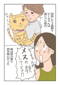 【漫画】『再婚できたのは猫のせい。』4（ヨスコスさん提供）