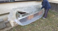 防虫ネットをかける／投稿主さん提供