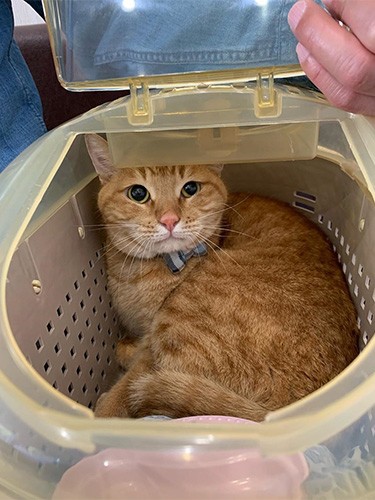 腎臓病になって入院したが、無事退院