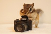 はい、みんな笑って〜（トッドくん）