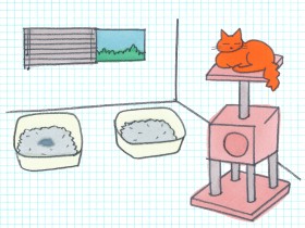理想的なトイレとは？　ネコたちの好みの調査結果「匂いよりも存在がイヤ」