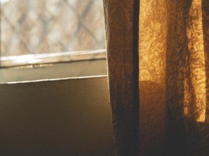 性格に間違いなんてない。「父に似ている自分」が嫌いだったわたしへ