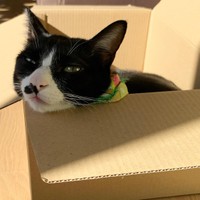 お日様の温もりにうつらうつら・・・