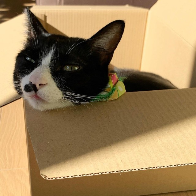 お日様の温もりにうつらうつら・・・