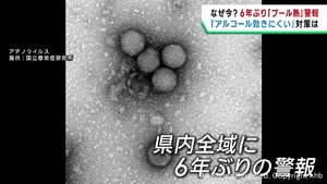 夏場を過ぎてプール熱の感染者数が増加　宮城県が警報を発令