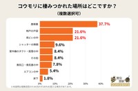 コウモリに棲みつかれた場所はどこですか？（提供画像）
