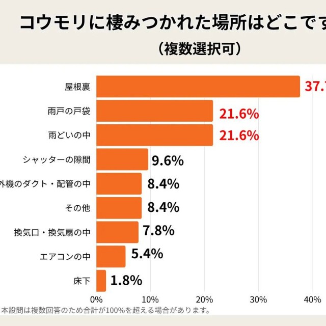 コウモリに棲みつかれた場所はどこですか？（提供画像）