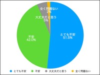  将来の年金について（提供画像）