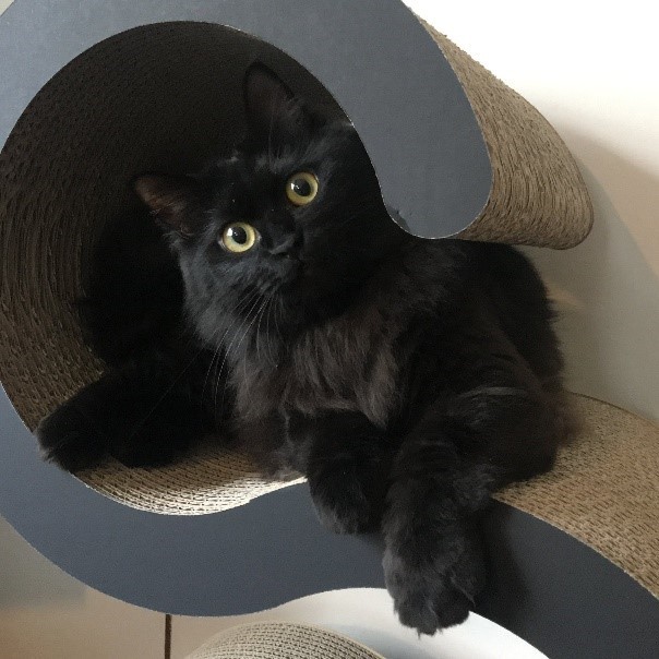 もふもふの被毛も愛くるしかった、ミュラーちゃん