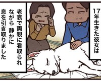 東京にいたため立ち会えなかったシロの最期（大友しゅうまさん提供）