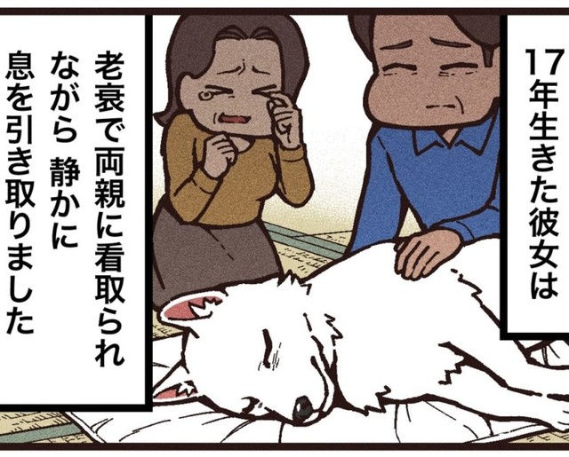 東京にいたため立ち会えなかったシロの最期（大友しゅうまさん提供）