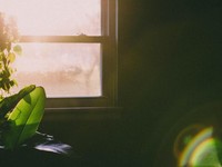 こんなに親切な人とすら分かり合えない、ということだけが分かった