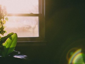 生きていけないと思った「あなたのいない人生」は、案外居心地がいい