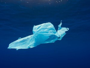 あらためて読んだSDGsの項目。私に響いた「災害対策」という行動