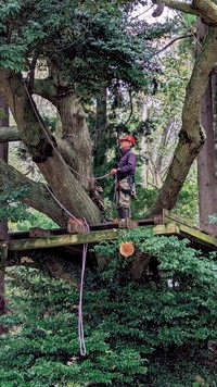 芸能界引退後、千葉県内の山中で“木こり”として森林整備の事業に取り組んできた元俳優の千葉治郎（前⽥満穂氏）