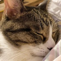 幸せそうな寝顔、見ているだけで幸せな気分になれる