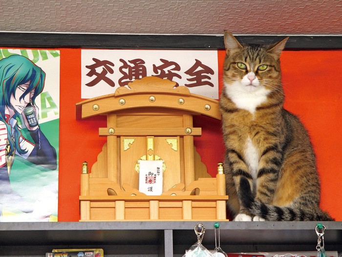 「みなさまの交通安全をお祈りしてるにゃん」