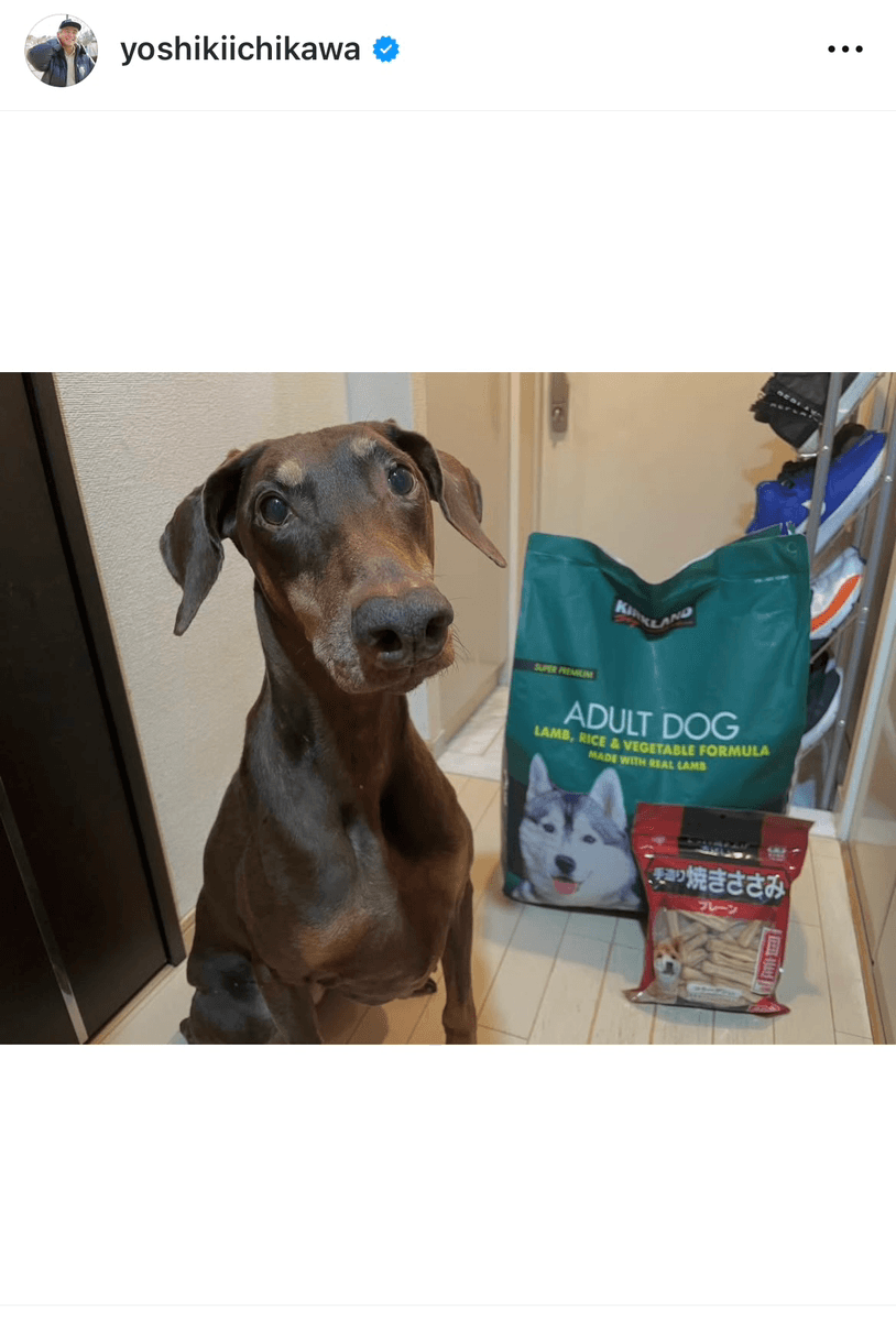 市川欣希 (@yoshikiichikawa)さんのインスタグラムより