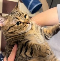 最後は「スン・・・」（「もな」さん提供、Twitterよりキャプチャ撮影）