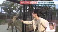 【中継】夜のえさやり体験も！しろとり動物園で「春のナイトZOO」　香川・東かがわ市 〈#推しドコ？〉