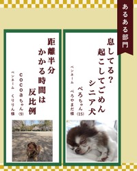 あるある部門入選作
