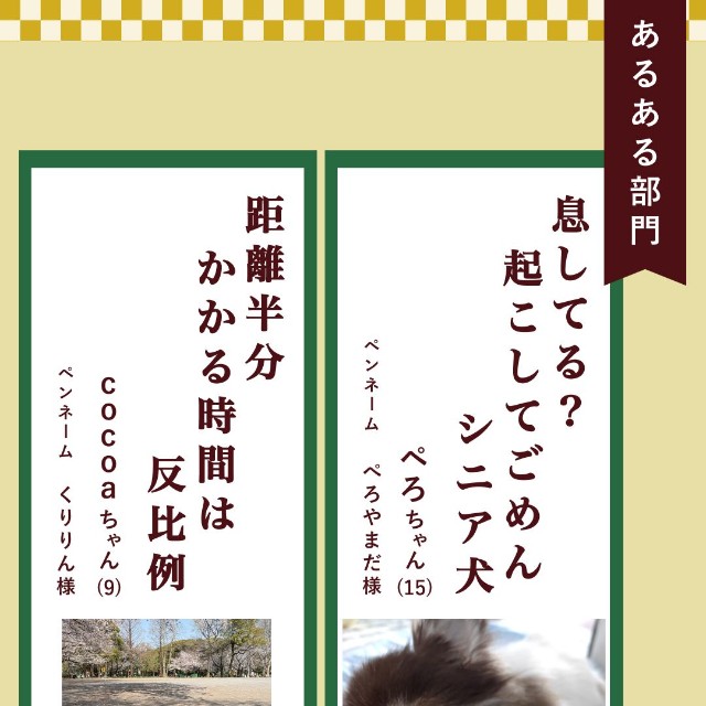 あるある部門入選作