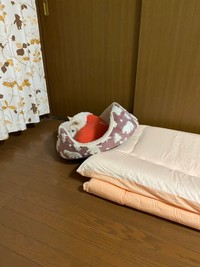 数日前も実は落ちてたまつちゃん（提供：白柴まつさん）