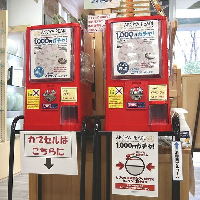 何が出るかな…1000円で本物の真珠アクセサリー!?話題の「あこや真珠ガチャ」の真相に迫る|まいどなニュース おかげさまで\大人気/あこや真珠ガチャ!の3個セット。 あこや真珠 ガチャ 公式3個セット イヤリング ピアス ネックレス ブレスレット リング ガチャガチャ アコヤ あこや 真珠 宇和島 パール シーショア Seashore