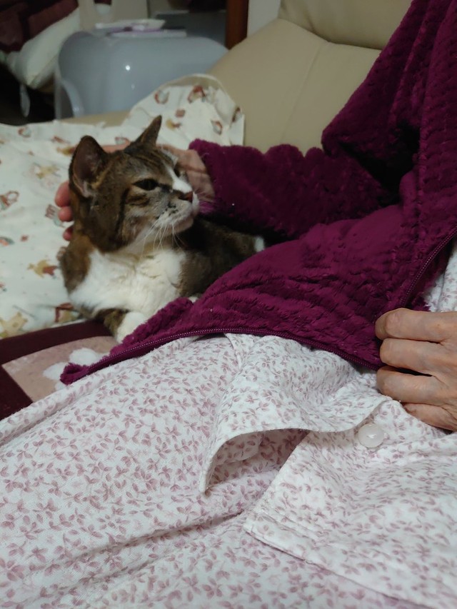 おばあちゃんに寄り添いながら話を聞く＝ミケちゃんさん（@ojm52811）提供