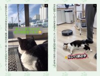 玄関の靴拭きマットに座り、配送トラックを見守るのがふくの日課だ（提供／山と溪谷社）