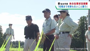 本格的な稲刈りシーズンを前に　郡仙台市長が米の生育状況を確認