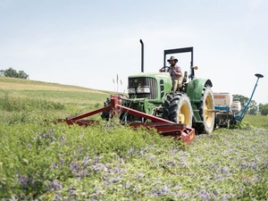 「耕さない農業」の衝撃　チョコケーキのように黒く軟らかい土、実践農家による6原則