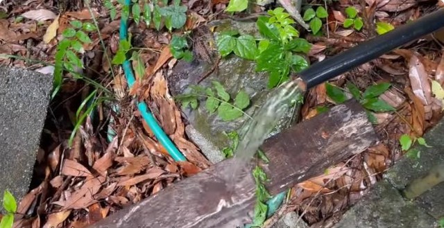 ホースからは申し分のない量の山水が溢れてきました（写真提供：YouTubeチャンネル「小さな村で暮らす」さん）