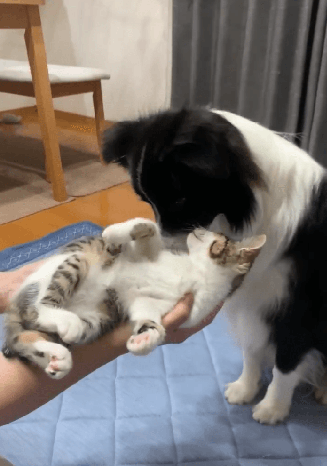 仲良くなりたいけど…