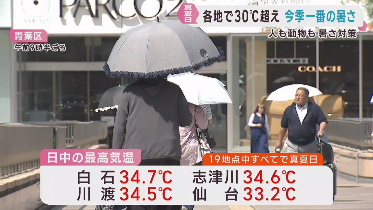 宮城県各地で今季一番の暑さ　涼を求めてクーリングシェルターに冷やしシャンプー