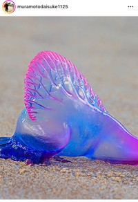 村本大輔（@muramotodaisuke1125）さんのインスタグラムより